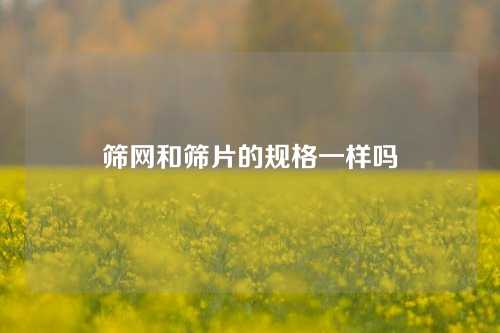 筛网和筛片的规格一样吗