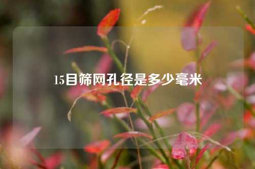 15目筛网孔径是多少毫米