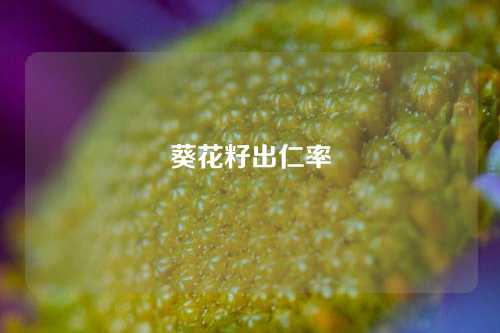 葵花籽出仁率