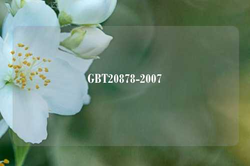 GBT20878-2007