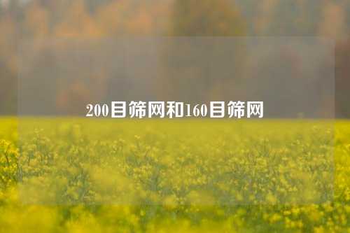 200目筛网和160目筛网