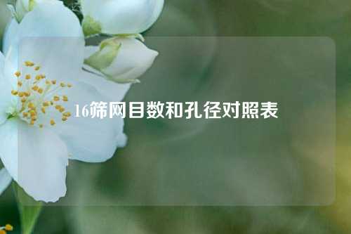 16筛网目数和孔径对照表