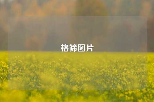 格筛图片