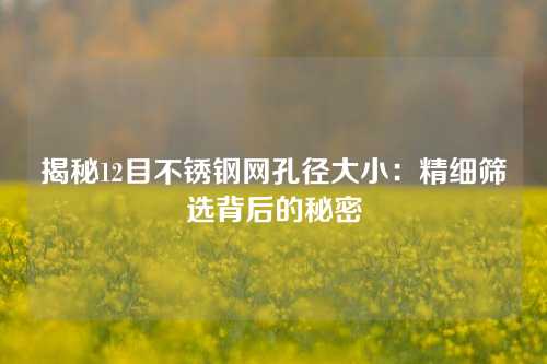 揭秘12目不锈钢网孔径大小：精细筛选背后的秘密