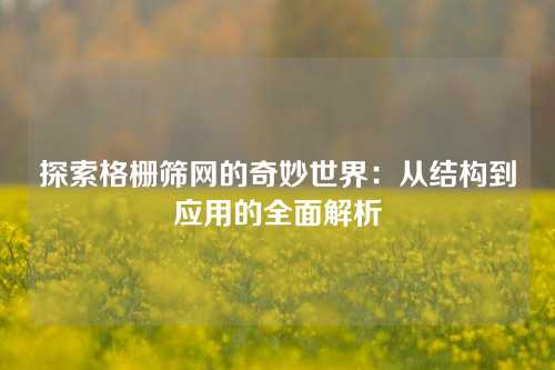 探索格栅筛网的奇妙世界：从结构到应用的全面解析