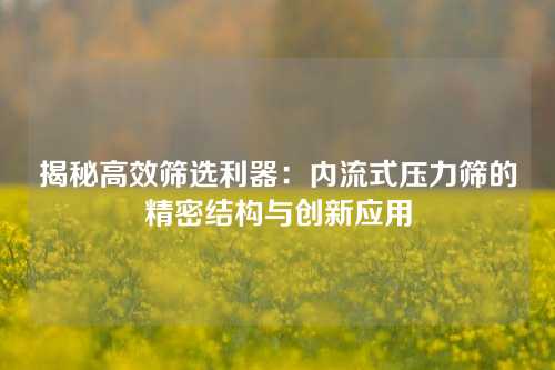 揭秘高效筛选利器：内流式压力筛的精密结构与创新应用