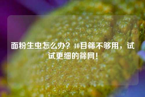 面粉生虫怎么办?40目筛不够用,试试更细的筛网!