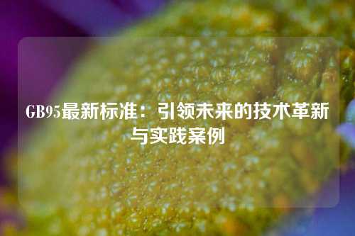 GB95最新标准：引领未来的技术革新与实践案例