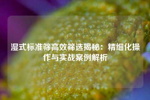湿式标准筛高效筛选揭秘：精细化操作与实战案例解析