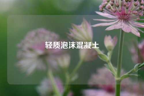 轻质泡沫混凝土