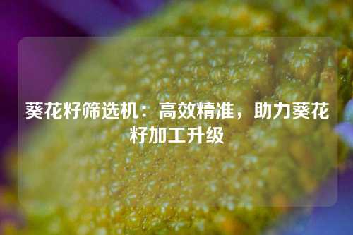 葵花籽筛选机:高效精准,助力葵花籽加工升级