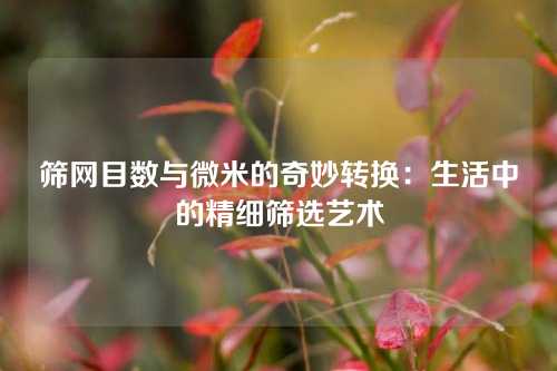 筛网目数与微米的奇妙转换：生活中的精细筛选艺术