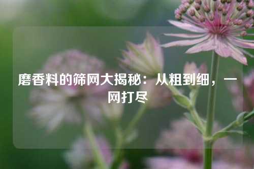 磨香料的筛网大揭秘：从粗到细，一网打尽