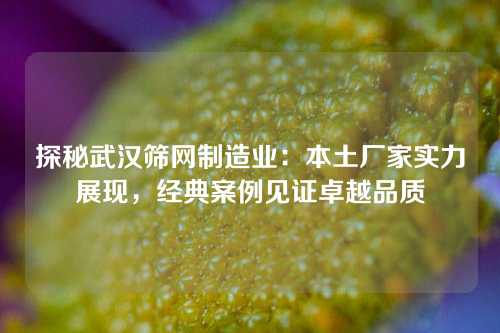 探秘武汉筛网制造业：本土厂家实力展现，经典案例见证卓越品质