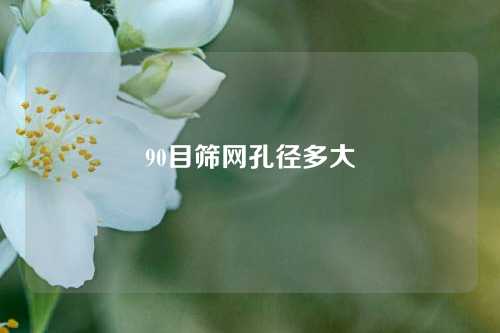 90目筛网孔径多大