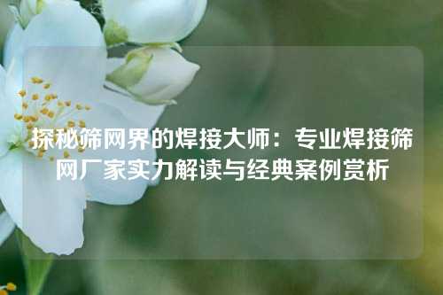 探秘筛网界的焊接大师：专业焊接筛网厂家实力解读与经典案例赏析