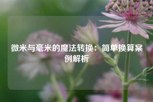 微米与毫米的魔法转换：简单换算案例解析