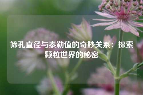 筛孔直径与泰勒值的奇妙关系：探索颗粒世界的秘密