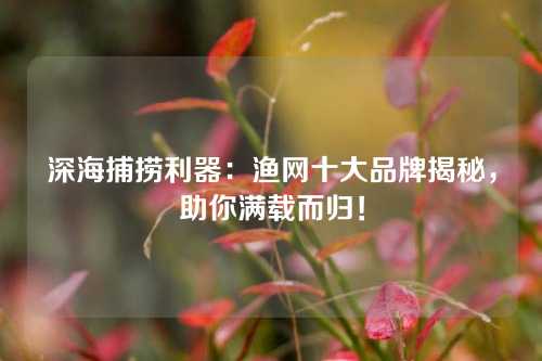 深海捕捞利器:渔网十大品牌揭秘,助你满载而归!