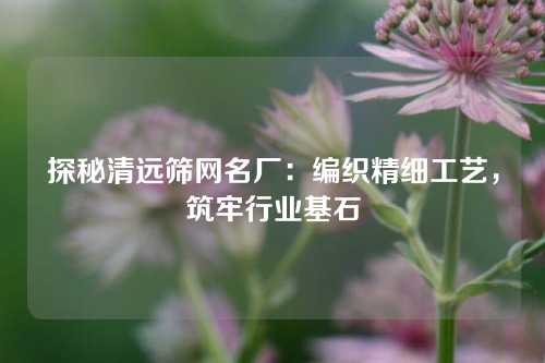 探秘清远筛网名厂：编织精细工艺，筑牢行业基石