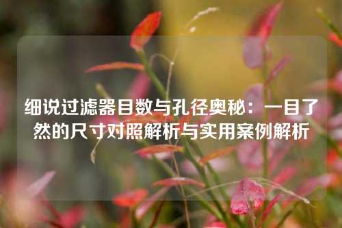 细说过滤器目数与孔径奥秘：一目了然的尺寸对照解析与实用案例解析