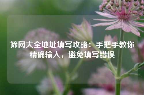 筛网大全地址填写攻略：手把手教你精确输入，避免填写错误