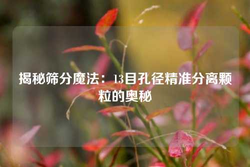 揭秘筛分魔法：13目孔径精准分离颗粒的奥秘