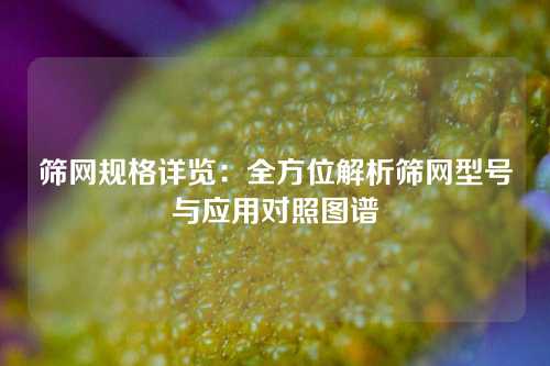 筛网规格详览：全方位解析筛网型号与应用对照图谱