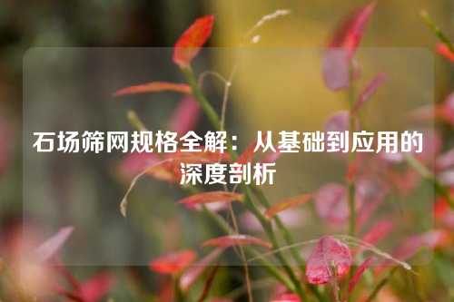 石场筛网规格全解：从基础到应用的深度剖析