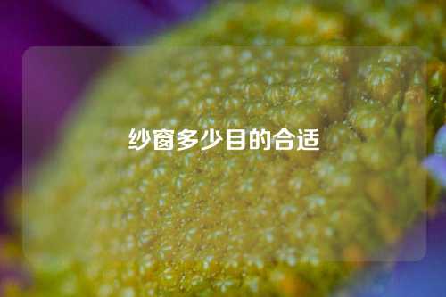 纱窗多少目的合适