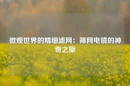微观世界的精细滤网：筛网电镜的神奇之旅