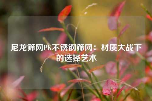 尼龙筛网PK不锈钢筛网：材质大战下的选择艺术
