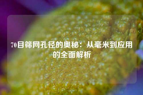 70目筛网孔径的奥秘：从毫米到应用的全面解析
