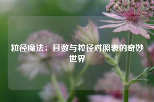 粒径魔法：目数与粒径对照表的奇妙世界
