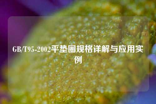 GB/T95-2002平垫圈规格详解与应用实例
