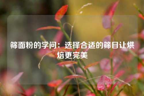 筛面粉的学问：选择合适的筛目让烘焙更完美