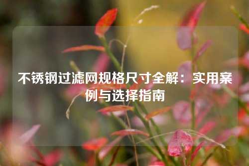 不锈钢过滤网规格尺寸全解：实用案例与选择指南