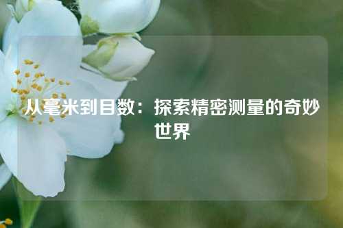 从毫米到目数：探索精密测量的奇妙世界