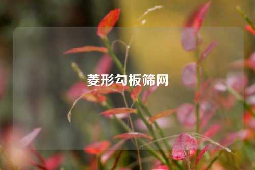 菱形勾板筛网
