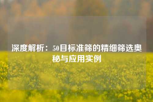 深度解析：50目标准筛的精细筛选奥秘与应用实例