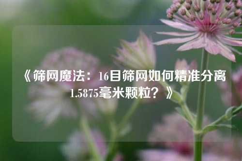 《筛网魔法：16目筛网如何精准分离1.5875毫米颗粒？》