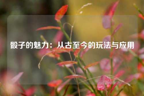 骰子的魅力：从古至今的玩法与应用