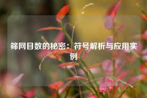 筛网目数的秘密：符号解析与应用实例