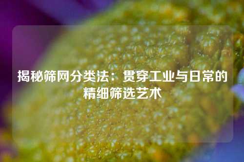 揭秘筛网分类法:贯穿工业与日常的精细筛选艺术
