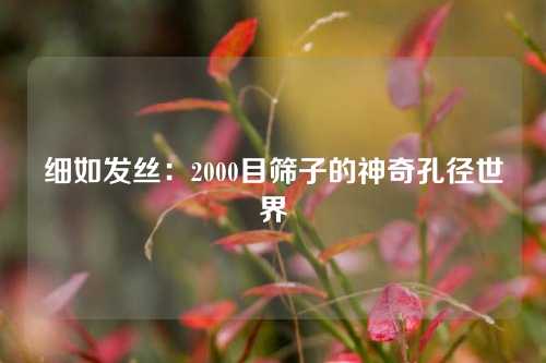 细如发丝：2000目筛子的神奇孔径世界