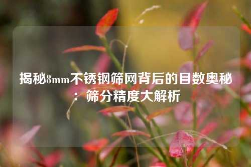 揭秘8mm不锈钢筛网背后的目数奥秘：筛分精度大解析