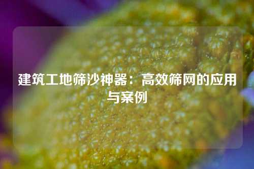 建筑工地筛沙神器：高效筛网的应用与案例