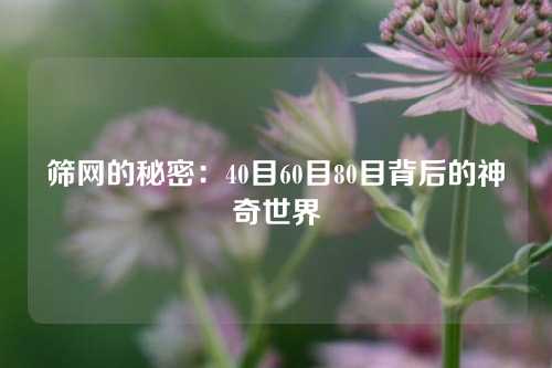 筛网的秘密：40目60目80目背后的神奇世界