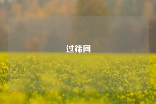 过筛网