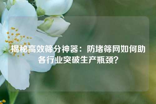 揭秘高效筛分神器:防堵筛网如何助各行业突破生产瓶颈?